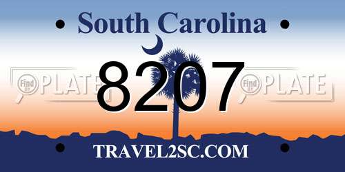 8207 South Carolina License Plate