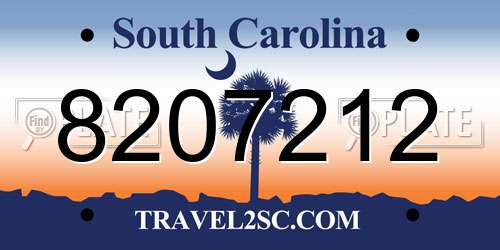 8207212 South Carolina License Plate