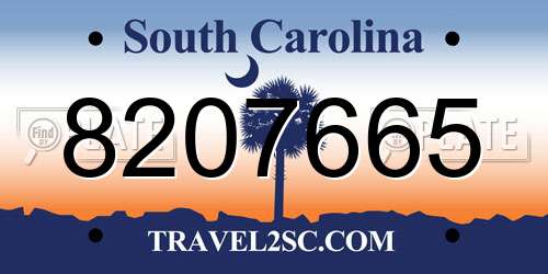 8207665 South Carolina License Plate