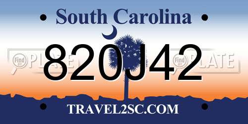 820J42 South Carolina License Plate
