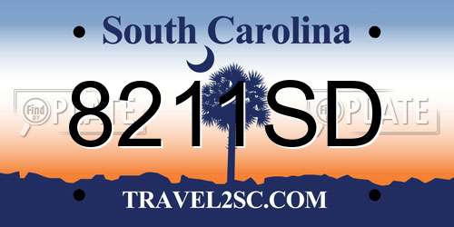 8211SD South Carolina License Plate