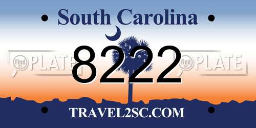 8222 South Carolina License Plate