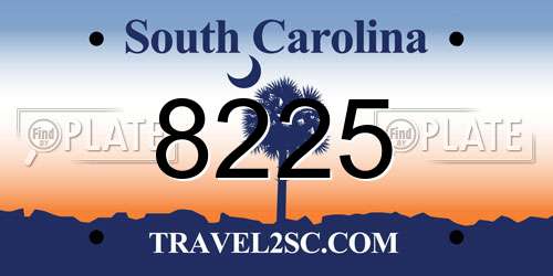 8225 South Carolina License Plate