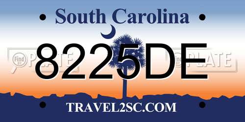 8225DE South Carolina License Plate