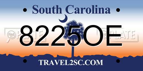 8225OE South Carolina License Plate