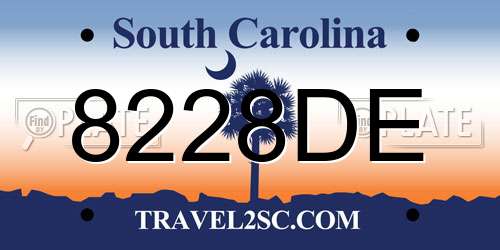 8228DE South Carolina License Plate