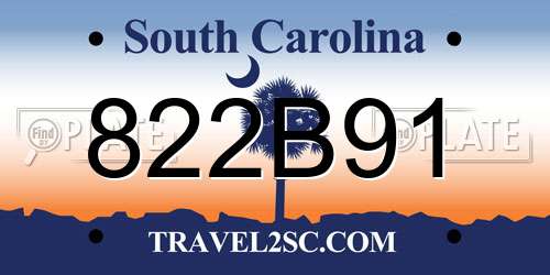 822B91 South Carolina License Plate