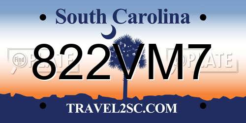 822VM7 South Carolina License Plate