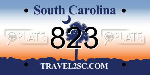 823 South Carolina License Plate