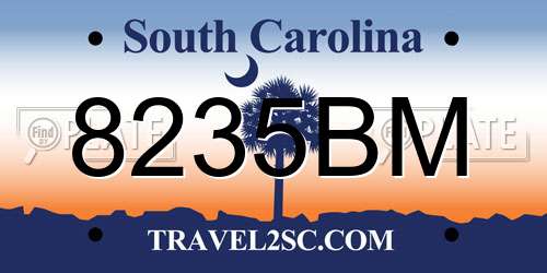 8235BM South Carolina License Plate