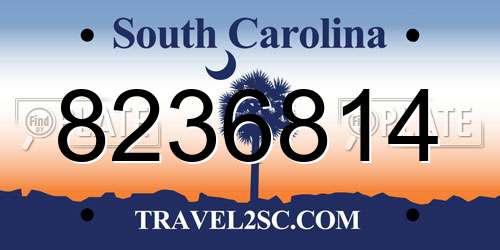 8236814 South Carolina License Plate