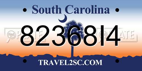 82368I4 South Carolina License Plate