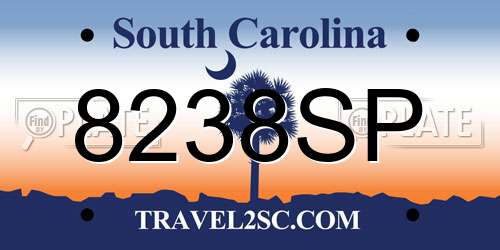 8238SP South Carolina License Plate