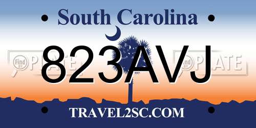823AVJ South Carolina License Plate