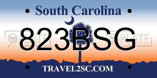 823BSG South Carolina License Plate