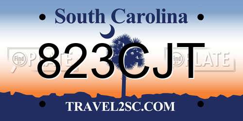 823CJT South Carolina License Plate
