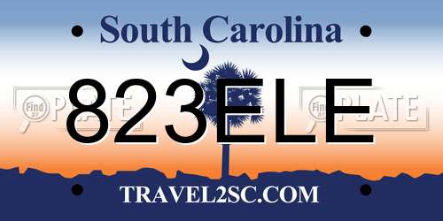 823ELE South Carolina License Plate