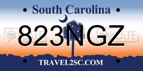 823NGZ South Carolina License Plate
