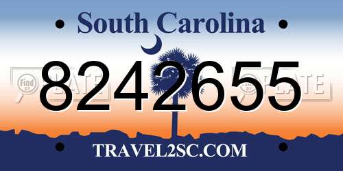 8242655 South Carolina License Plate