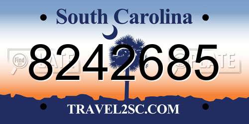 8242685 South Carolina License Plate