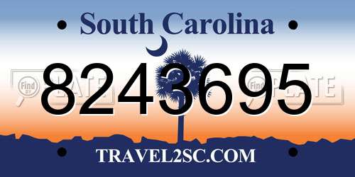 8243695 South Carolina License Plate