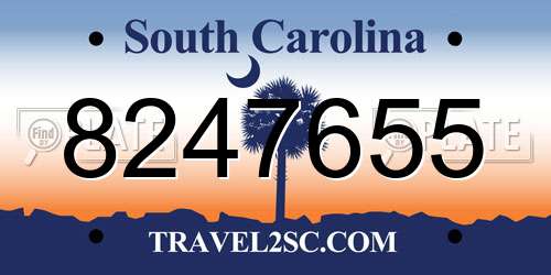 8247655 South Carolina License Plate