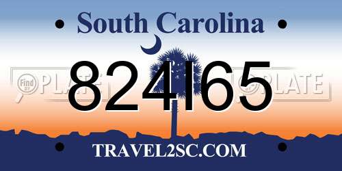 824I65 South Carolina License Plate