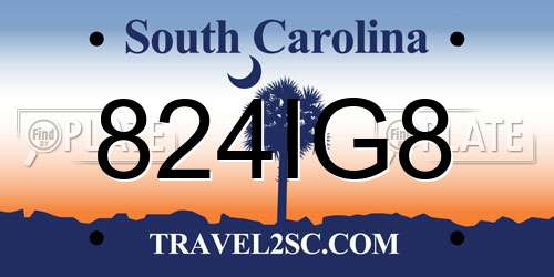 824IG8 South Carolina License Plate