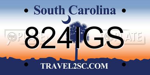 824IGS South Carolina License Plate