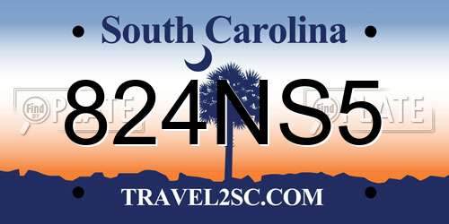 824NS5 South Carolina License Plate