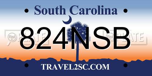 824NSB South Carolina License Plate
