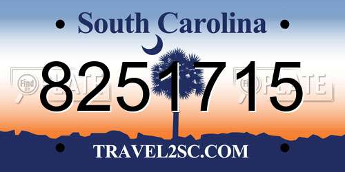 8251715 South Carolina License Plate