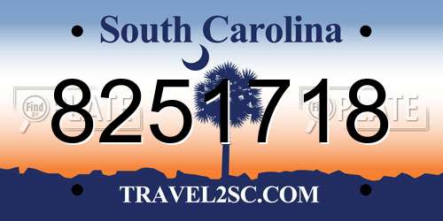 8251718 South Carolina License Plate