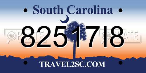 82517I8 South Carolina License Plate