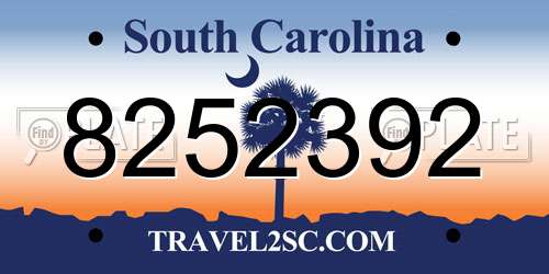 8252392 South Carolina License Plate