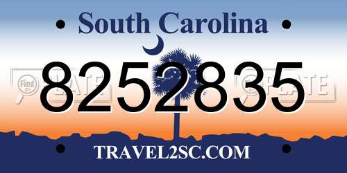 8252835 South Carolina License Plate