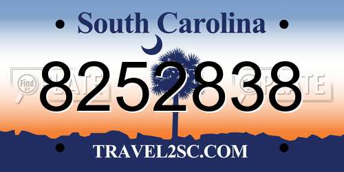 8252838 South Carolina License Plate