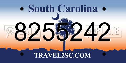 8255242 South Carolina License Plate