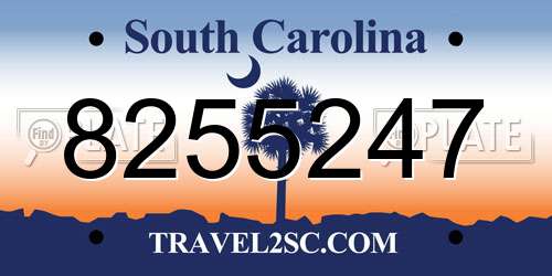 8255247 South Carolina License Plate
