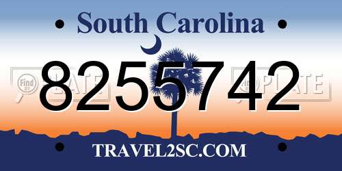 8255742 South Carolina License Plate