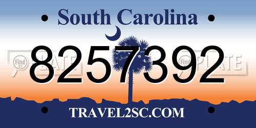 8257392 South Carolina License Plate