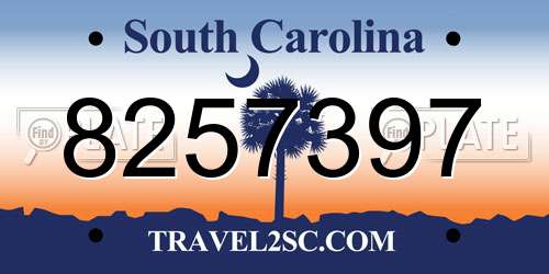 8257397 South Carolina License Plate