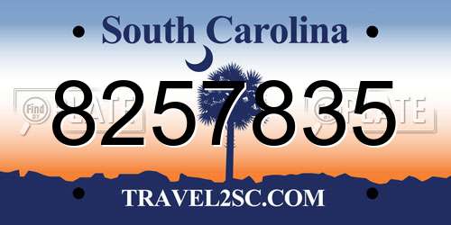 8257835 South Carolina License Plate