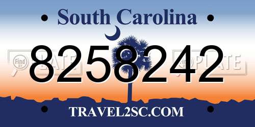 8258242 South Carolina License Plate