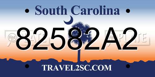 82582A2 South Carolina License Plate
