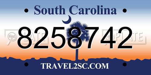 8258742 South Carolina License Plate