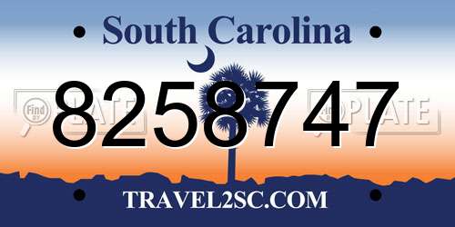 8258747 South Carolina License Plate