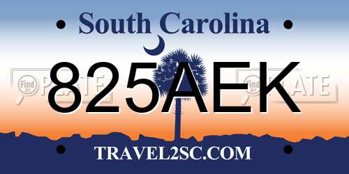 825AEK South Carolina License Plate