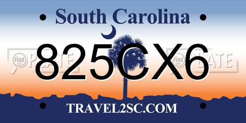 825CX6 South Carolina License Plate