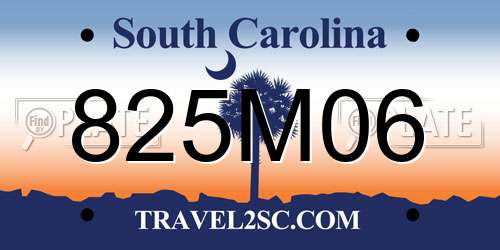 825M06 South Carolina License Plate